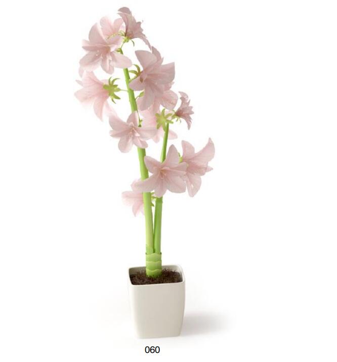 盆栽植物3Dmax模型 (60)-1