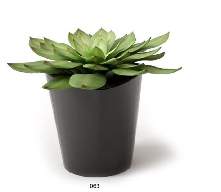 盆栽植物3Dmax模型 (63)-1