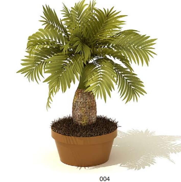 室内盆栽植物3Dmax模型 (4).jpg