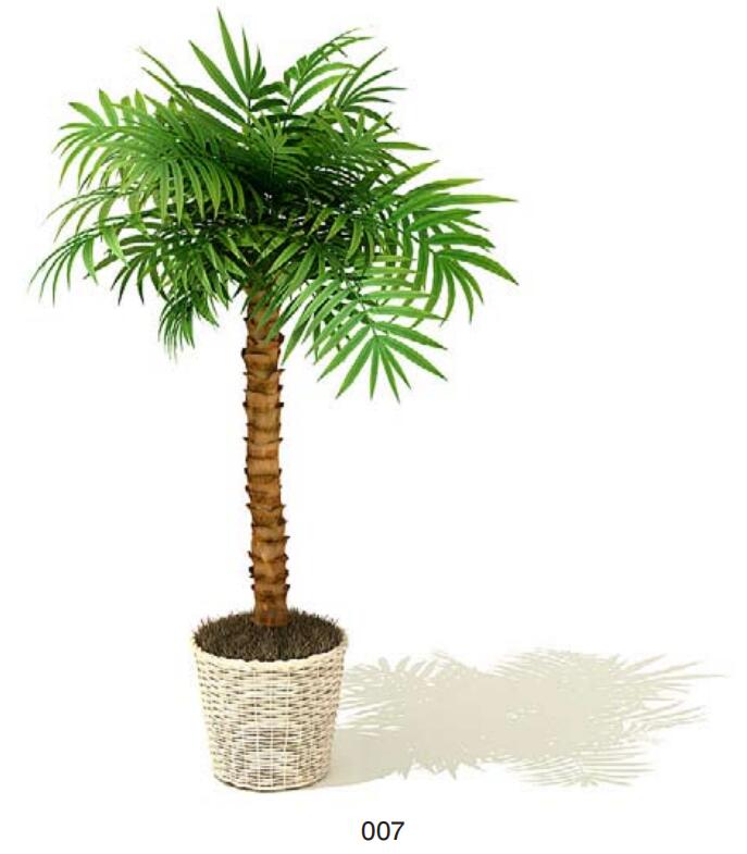 室内盆栽植物3Dmax模型 (7)-1