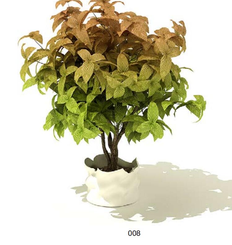 室内盆栽植物3Dmax模型 (8)-1