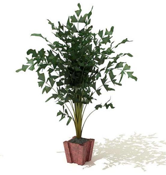 室内盆栽植物3Dmax模型 (16).jpg