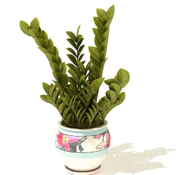 室内盆栽植物3Dmax模型 (38).jpg