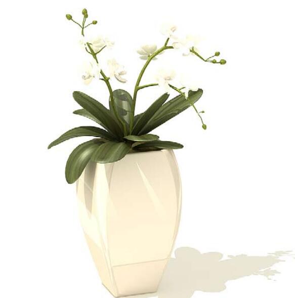 室内盆栽植物3Dmax模型 (51)-1