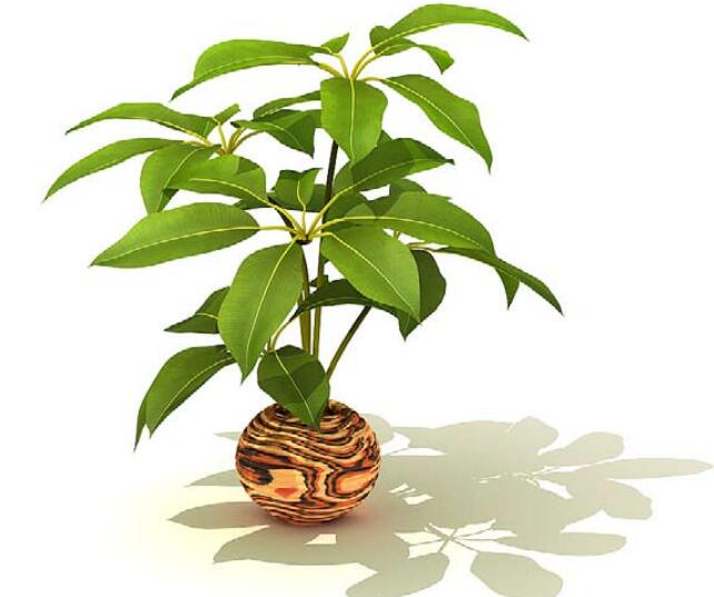 室内盆栽植物3Dmax模型 (56).jpg