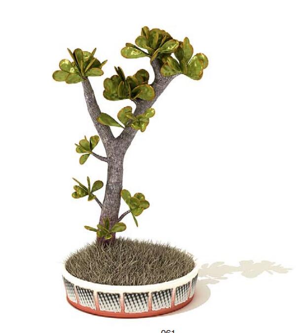 室内盆栽植物3Dmax模型 (61)-1
