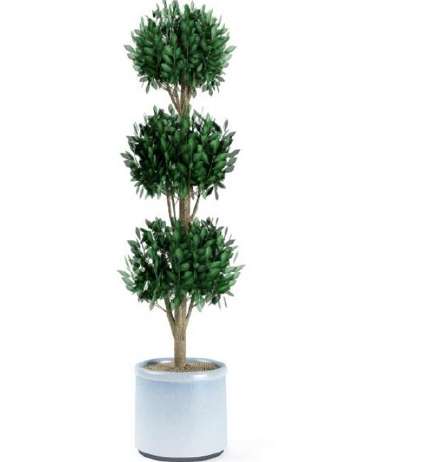 盆栽植物3Dmax模型第二季 (7).jpg
