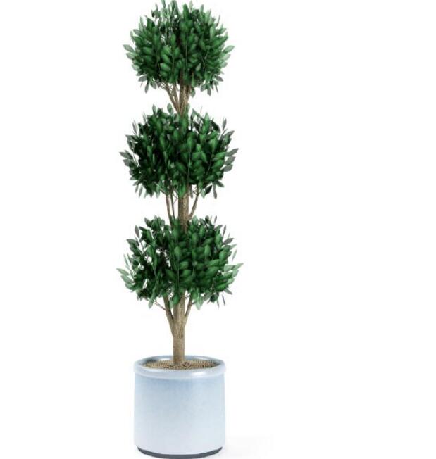 盆栽植物3Dmax模型第二季 (7).jpg