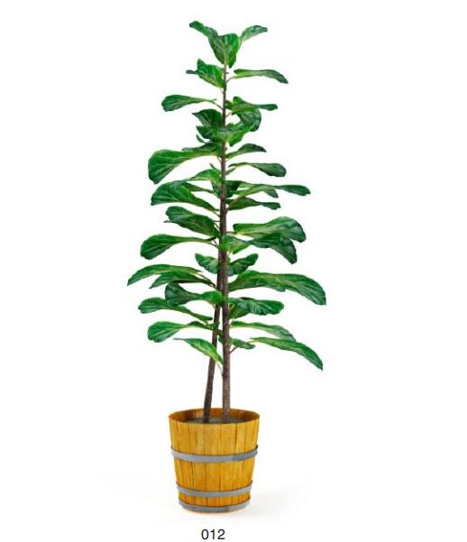 盆栽植物3Dmax模型第二季 (12).jpg