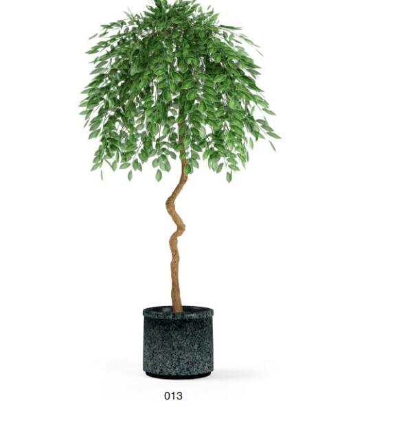 盆栽植物3Dmax模型第二季 (13)-1
