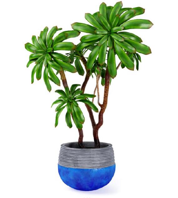 盆栽植物3Dmax模型第二季 (18).jpg