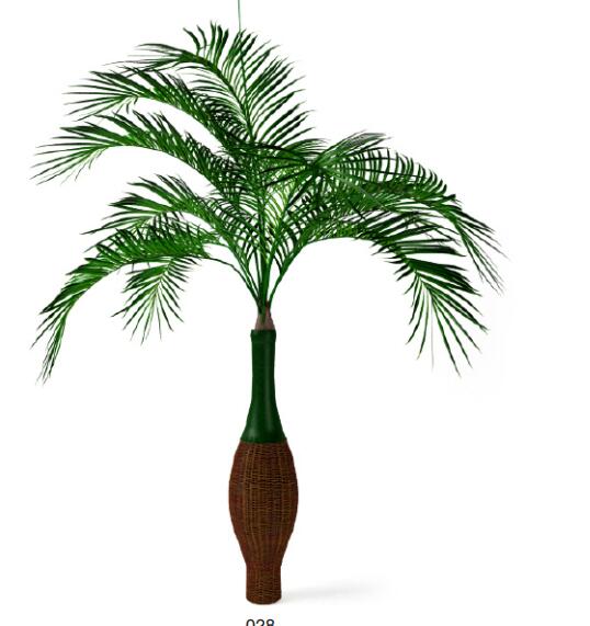 盆栽植物3Dmax模型第二季 (28).jpg
