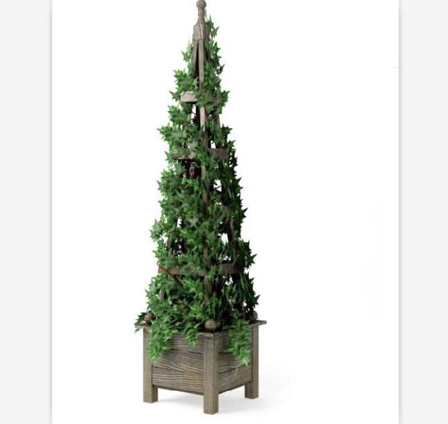 盆栽植物3Dmax模型第二季 (33)-1