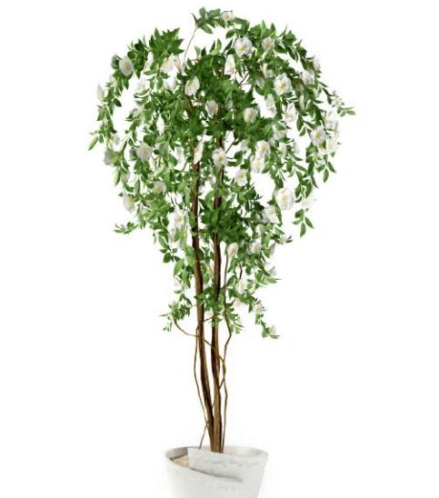 盆栽植物3Dmax模型第二季 (45)-1