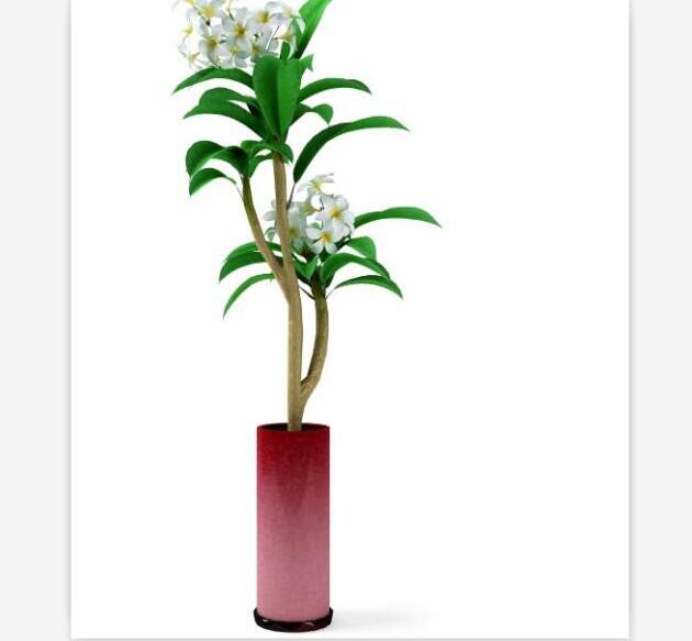 盆栽植物3Dmax模型第二季 (46).jpg