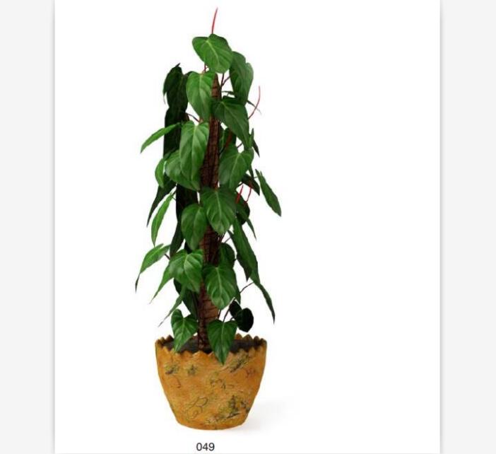 盆栽植物3Dmax模型第二季 (49)-1