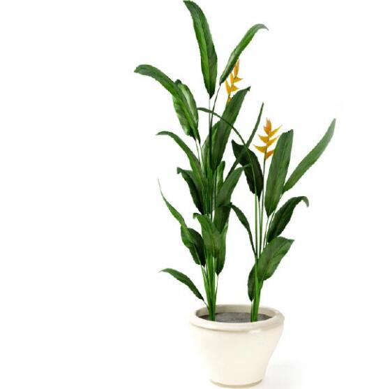 盆栽植物3Dmax模型第二季 (56).jpg
