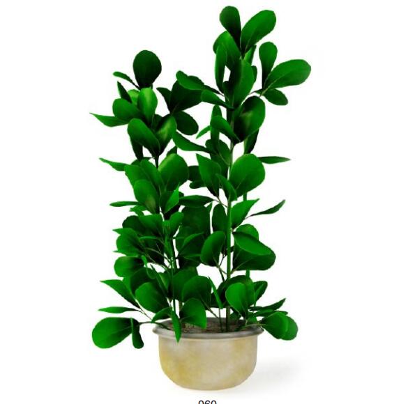 盆栽植物3Dmax模型第二季 (60)-1