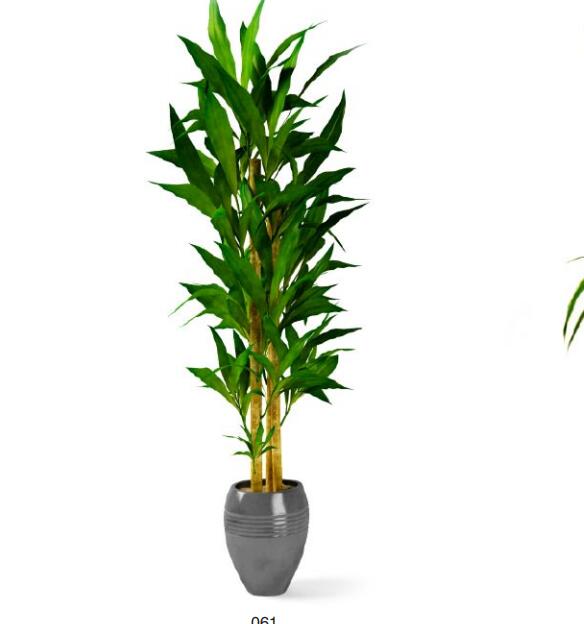 盆栽植物3Dmax模型第二季 (61).jpg