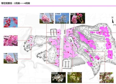 [河南]樱花主题旅游度假风景区规划设计方案-1