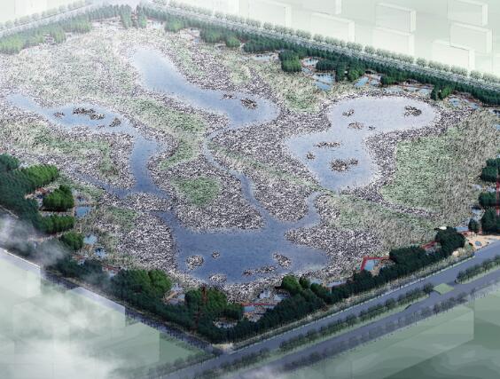[辽宁]哈尔滨群力新区生态湿地公园景观方案设计-1