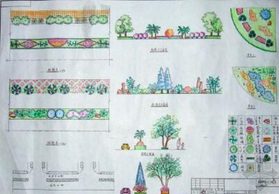 某城市道路绿化设计方案-1