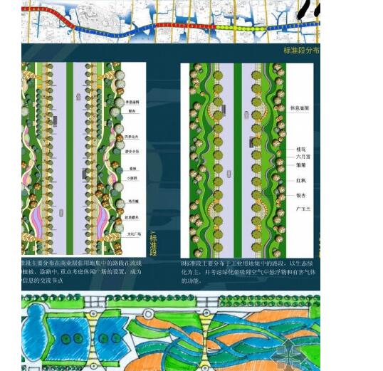 湖州市某道路绿化景观带规划设计方案-1