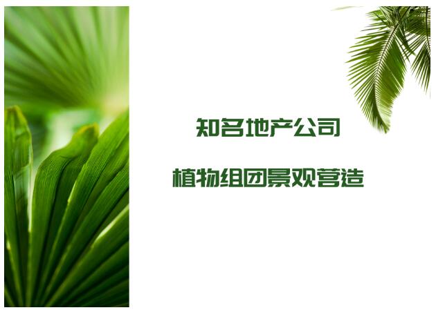 QQ截图20200207205102.jpg