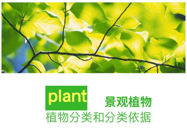 [植物]园林植物的分类及分类依据-1