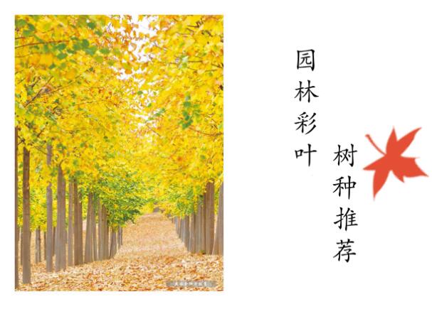 QQ截图20200207205317.jpg