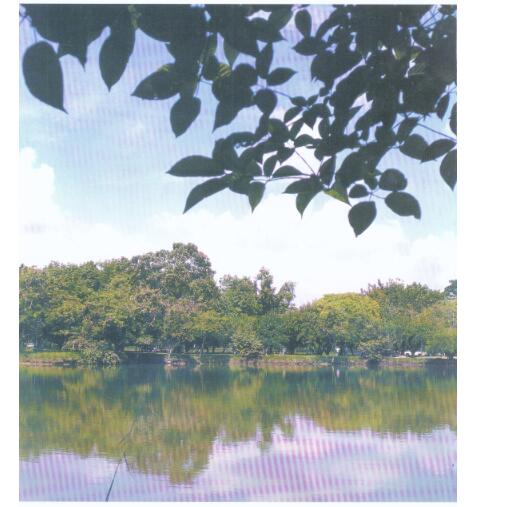 世界景观设计 商务园林与屋顶花园-共200页-1