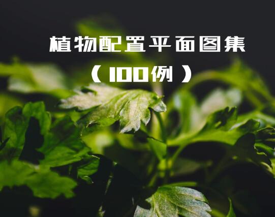 QQ截图20200207224539.jpg