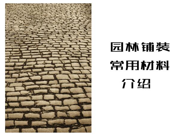 QQ截图20200207224653.jpg