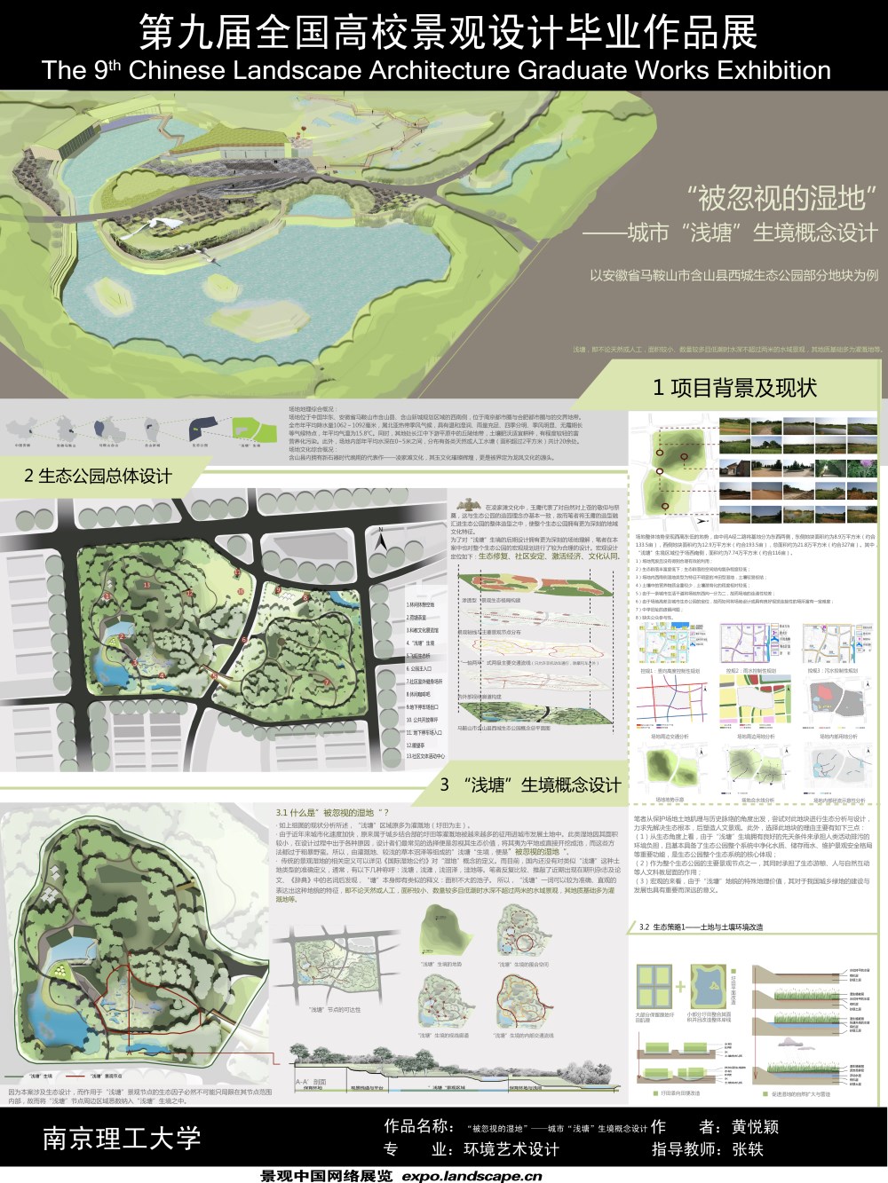 “被忽视的湿地”——城市“浅塘”生境概念设计-1
