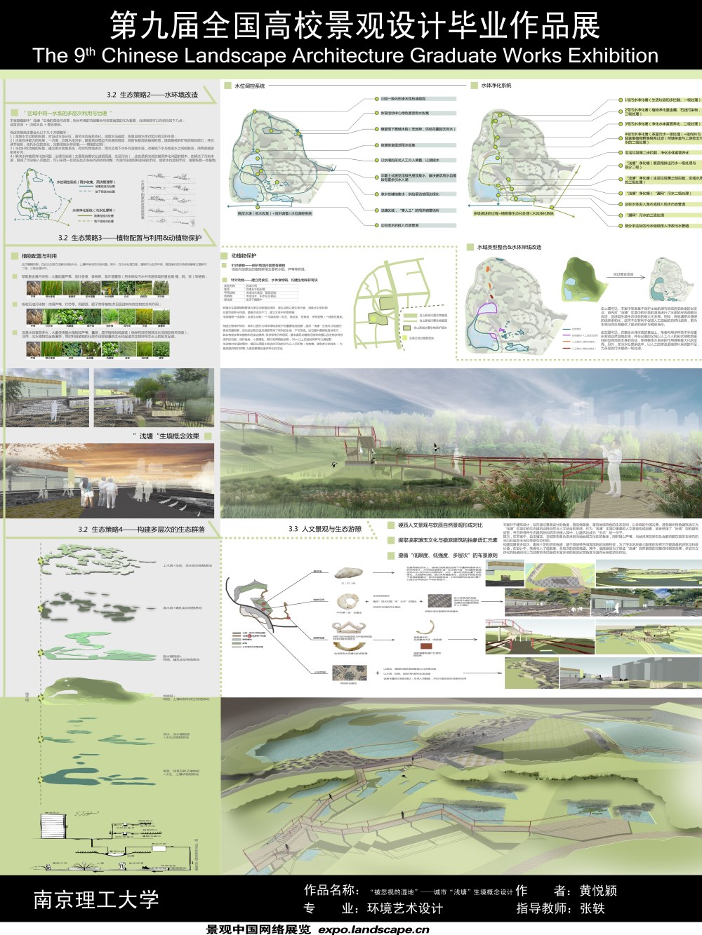 “被忽视的湿地”——城市“浅塘”生境概念设计-2