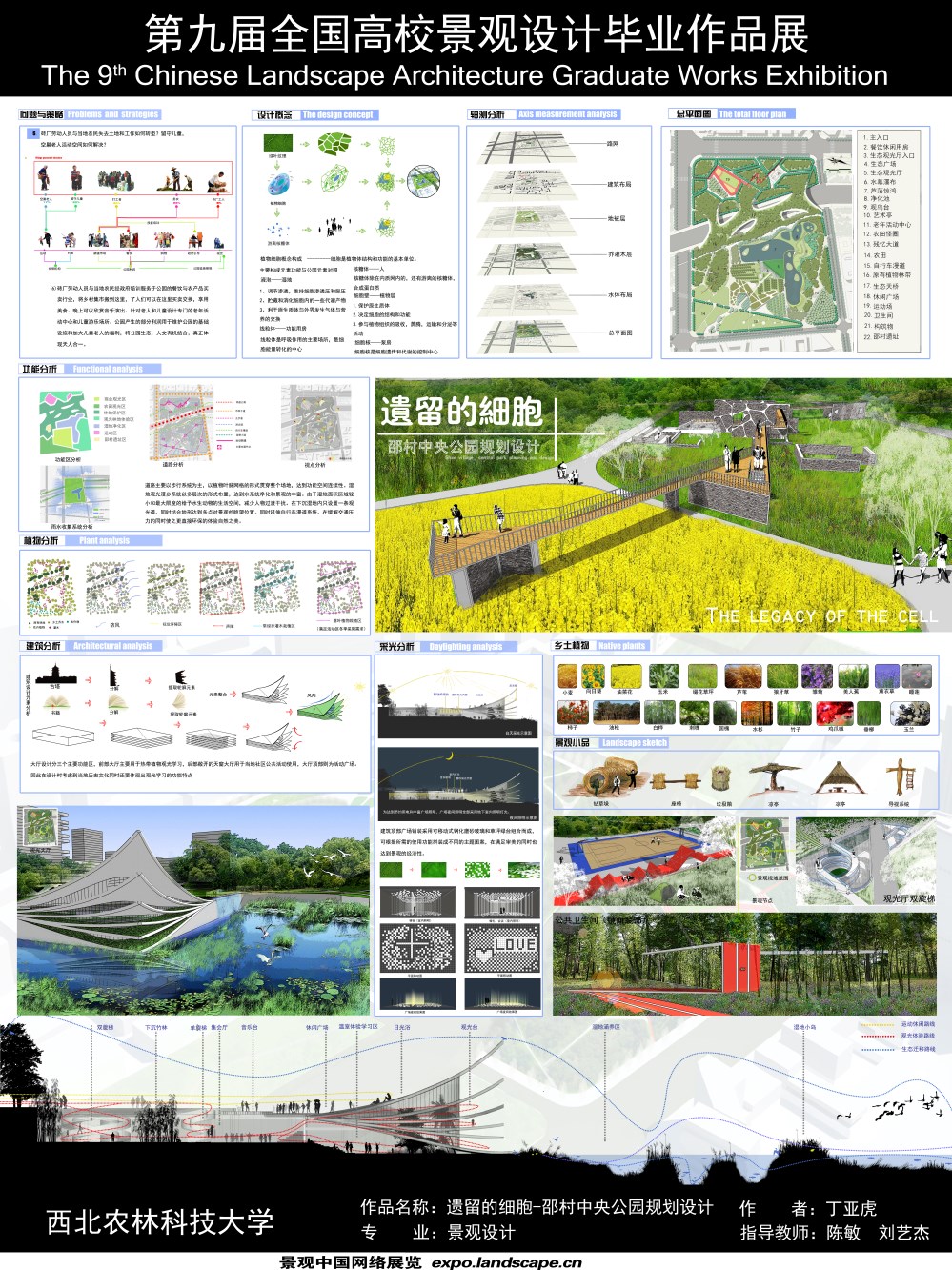 遗留的细胞——邵村中央公园规划设计-2