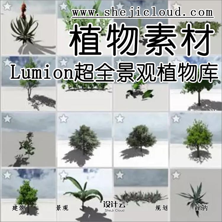 【第121期】Lumion超全植物景观模型素材库-1