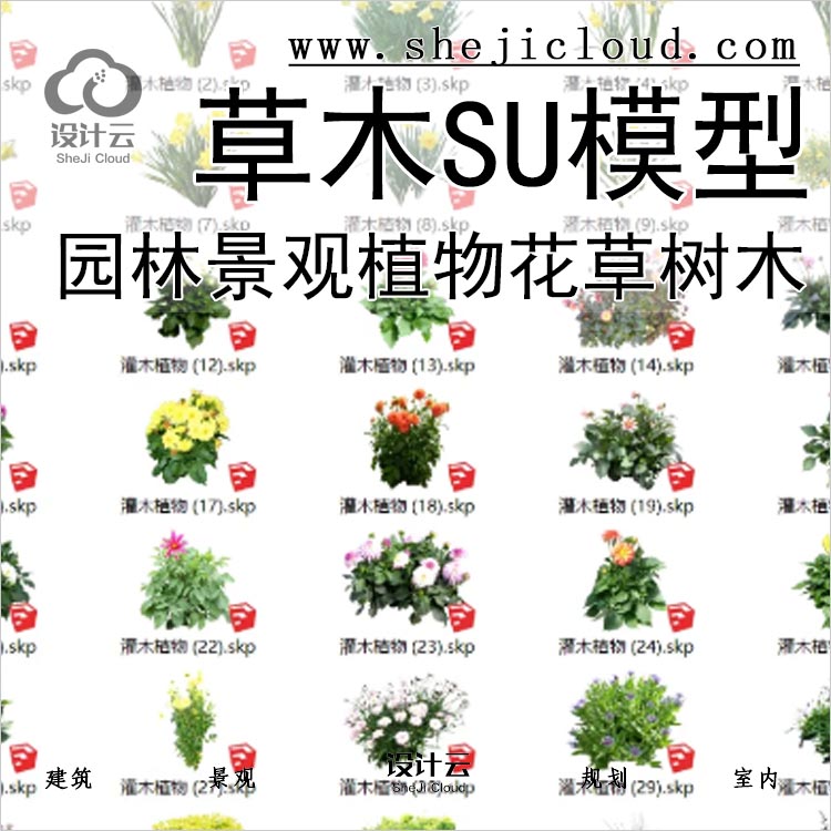 【0184】园林景观植物SU模型花草树木乔木花卉灌木SU-1