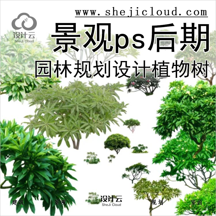 【0265】鸟瞰植物树psd分层素材景观园林规划设计资料ps后期-1