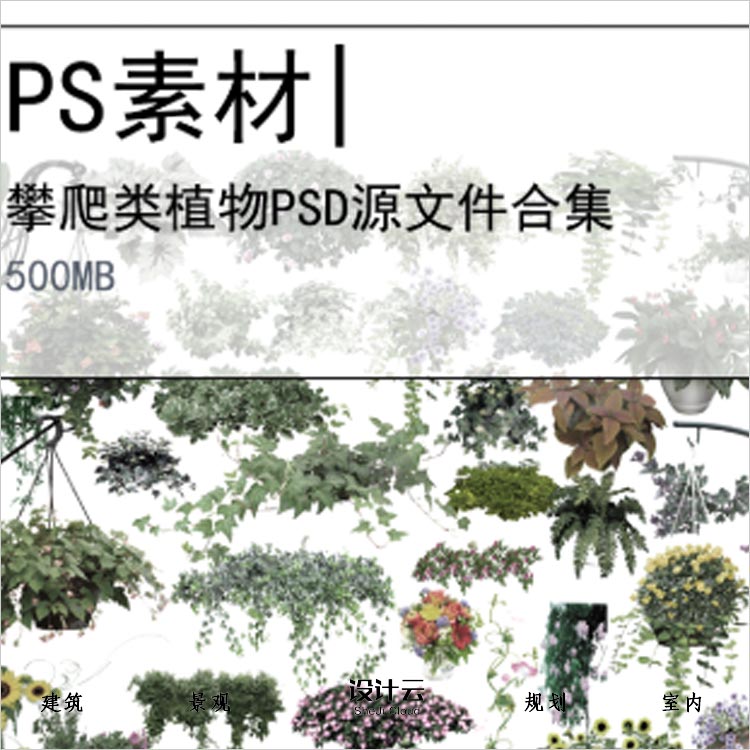【0283】攀爬类植物PSD源文件合集效果图后期藤蔓垂直绿化-1
