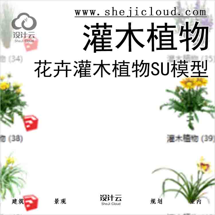 【3029】500套花卉灌木植物su模型B (1-50)-1