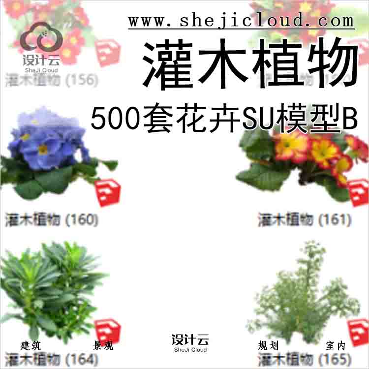 【3232】500套花卉灌木植物su模型B (151-200)-1