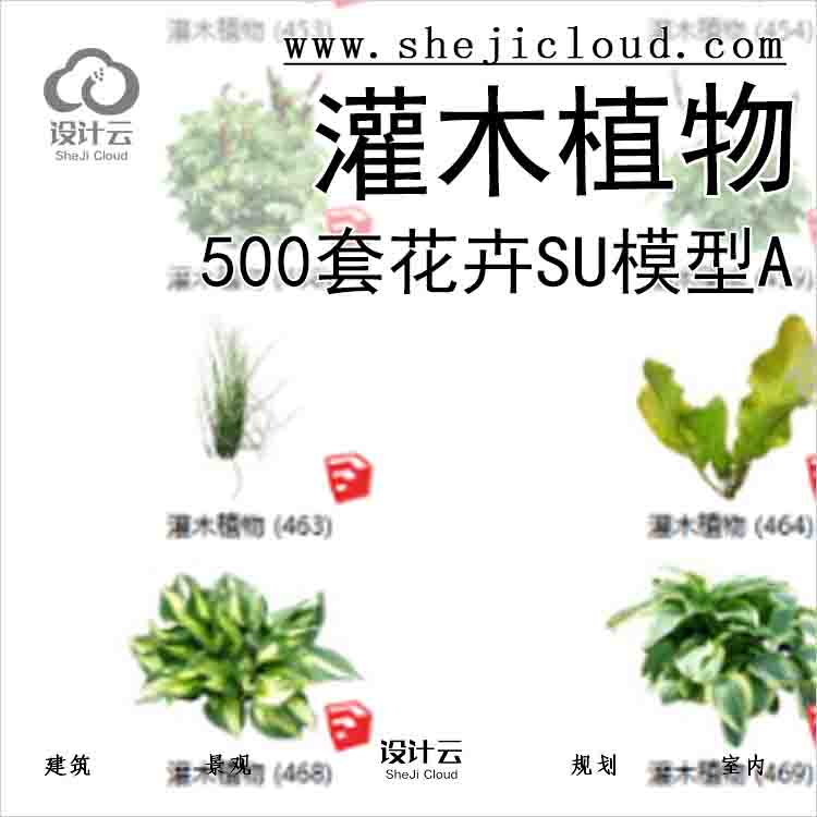 【3233】500套花卉灌木植物su模型B(451-500)-1
