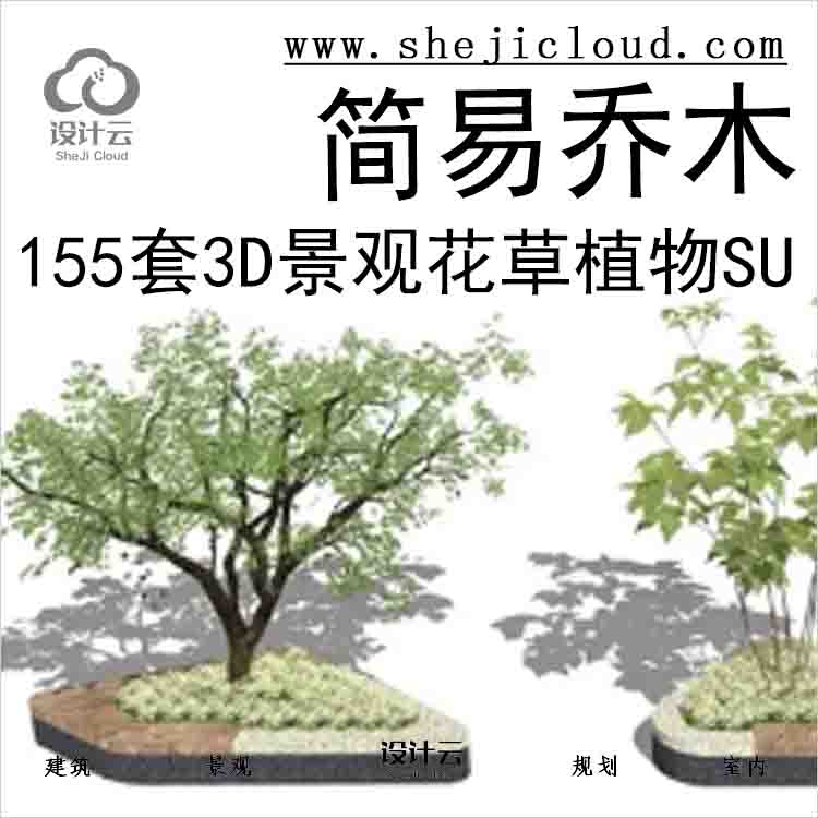 5619.jpg