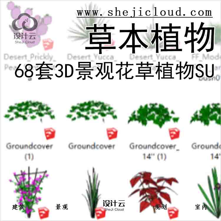 【5622】68套3D景观花草植物su模型-草本植物-1
