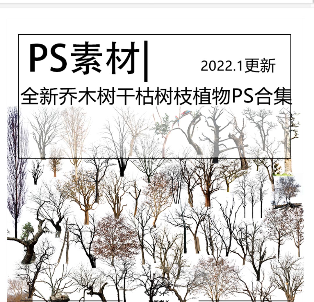 全新冬天秋天乔木树干枯树枝植物PSD合集效果图立面图免...-1