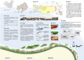 鸭舌岛沿河景观规划设计——“浮动的环”