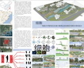 细胞-集美大学新校区总部大楼周边地块概念性景观设计