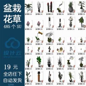 SJ056室内植物盆栽花草装饰花瓶插花摆件草图大师SU模型