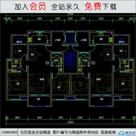 CAD03683 一梯二住宅户型：115+115 CAD